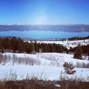 Meet your Posher, Daphne